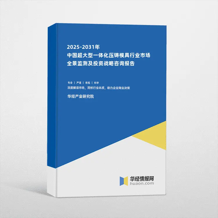 2025-2031年中国超大型一体化压铸模具行业市场全景监测及投资战略咨询报告